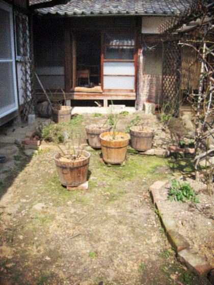d0077603_10361692.jpg