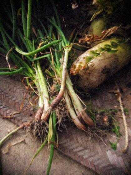 d0077603_10402649.jpg
