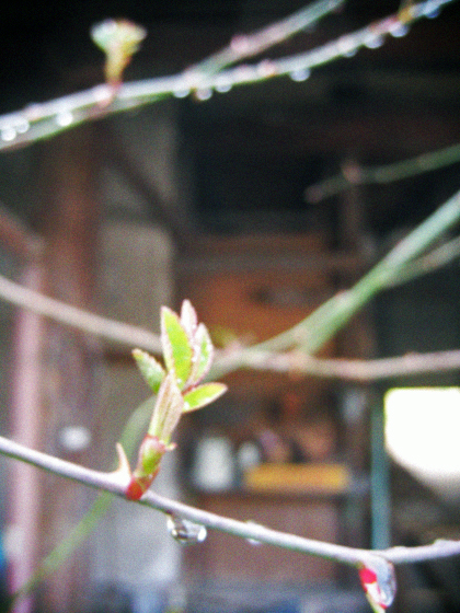 d0077603_10421916.jpg