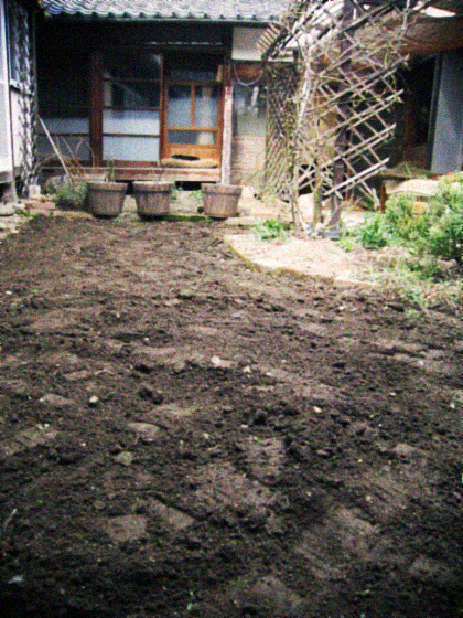 d0077603_1124678.jpg
