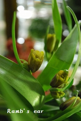 e0128909_23471469.jpg
