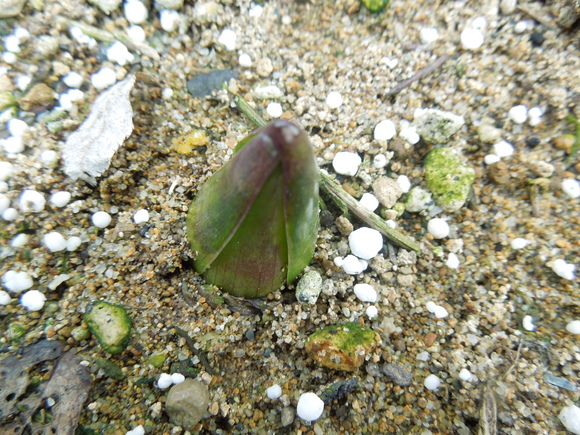f0297809_0482356.jpg