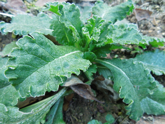 f0297809_0562186.jpg