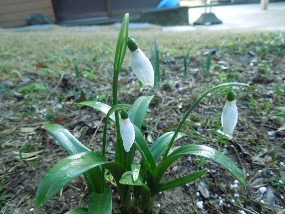 f0297809_20553050.jpg