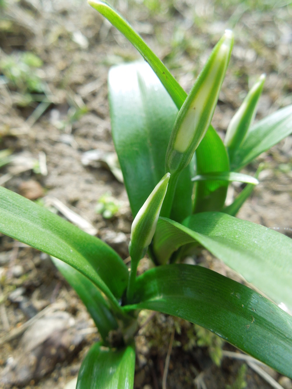 f0297809_2057624.jpg