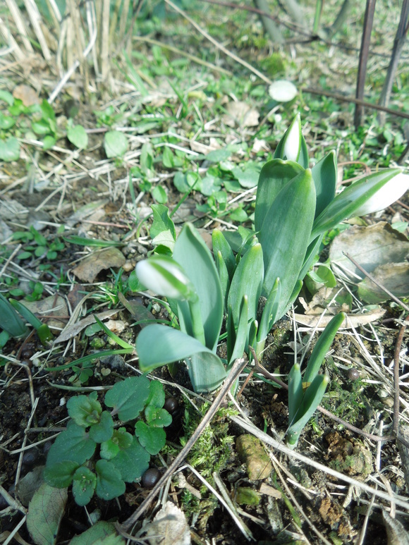 f0297809_211542.jpg