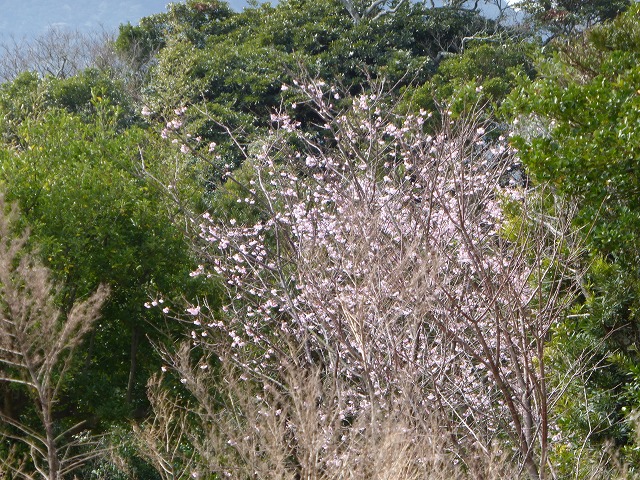 d0037110_200259.jpg