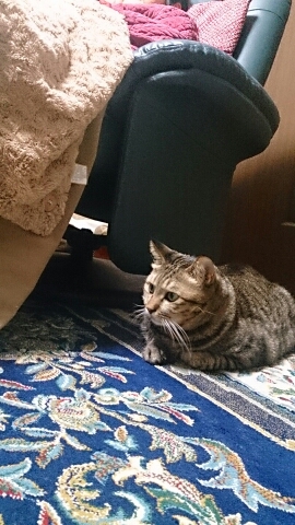 f0220919_939211.jpg