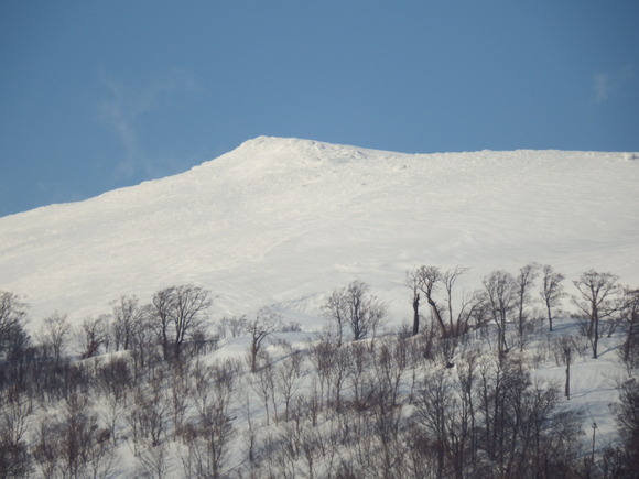 f0118332_2221326.jpg