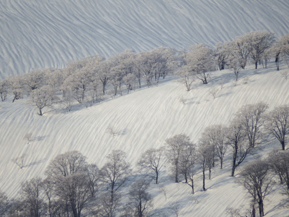 f0118332_22213398.jpg