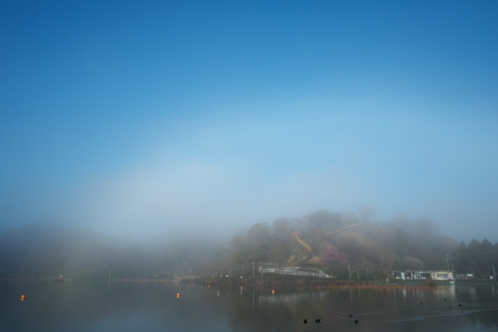 c0309734_12244711.jpg