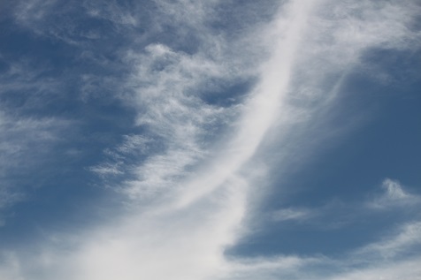 b0184636_14323063.jpg