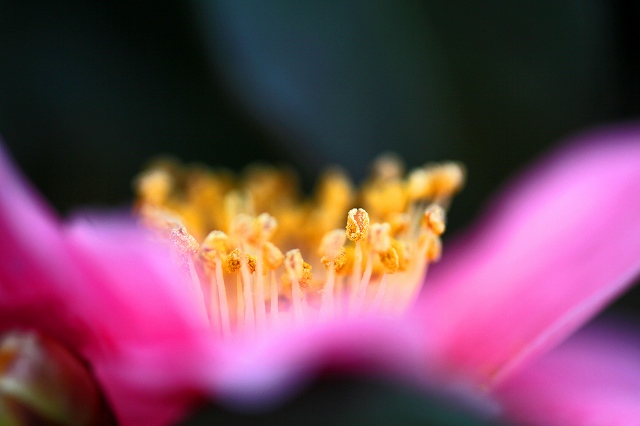 a0242438_23142520.jpg