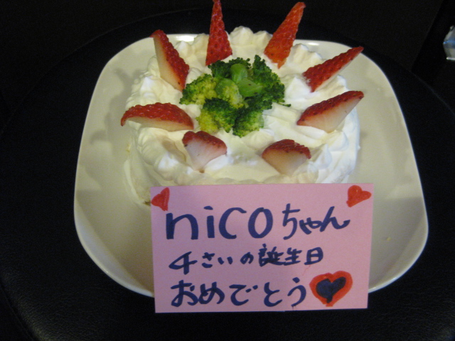 c0134645_0441469.jpg