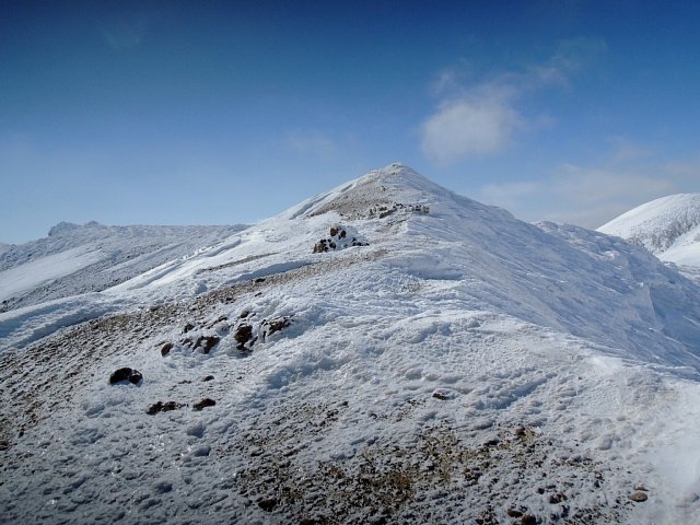 b0122448_20485115.jpg