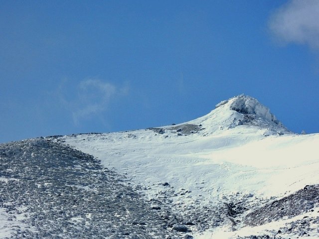 b0122448_722822.jpg