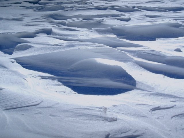 b0122448_7244780.jpg