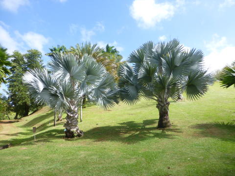 b0296855_19262651.jpg