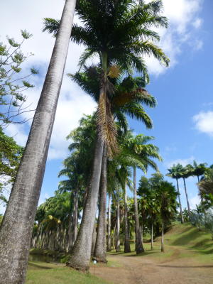 b0296855_19425853.jpg