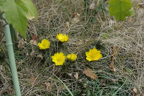 e0041168_15100805.jpg