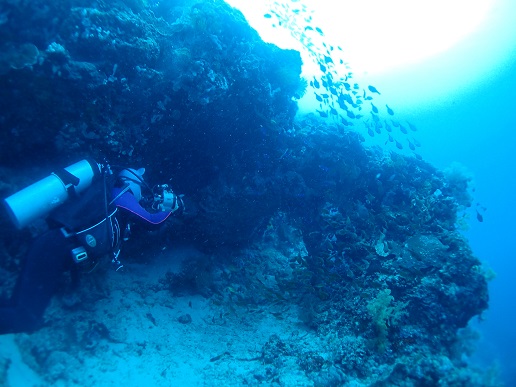 a0109187_9145559.jpg