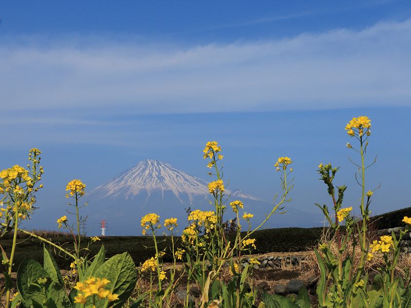 a0188405_0234116.jpg