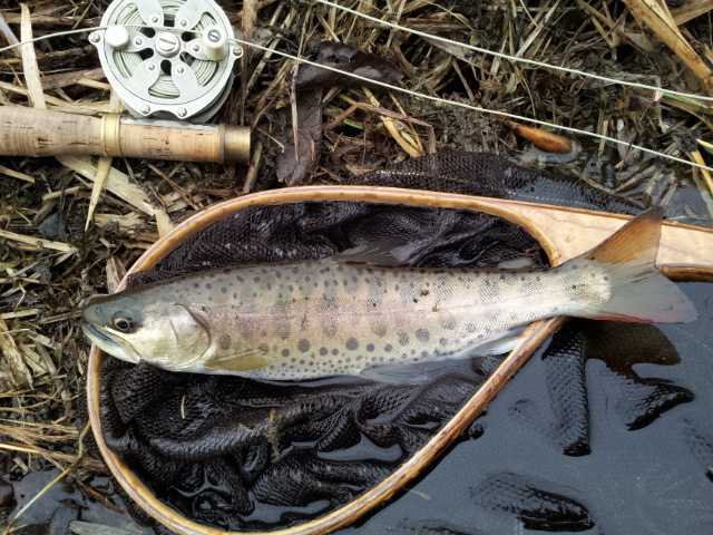 b0172805_2013408.jpg