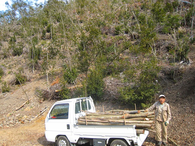 e0002820_9201538.jpg