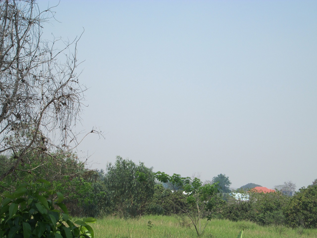d0159325_10415324.jpg