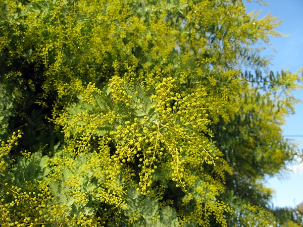 f0129726_21122814.jpg