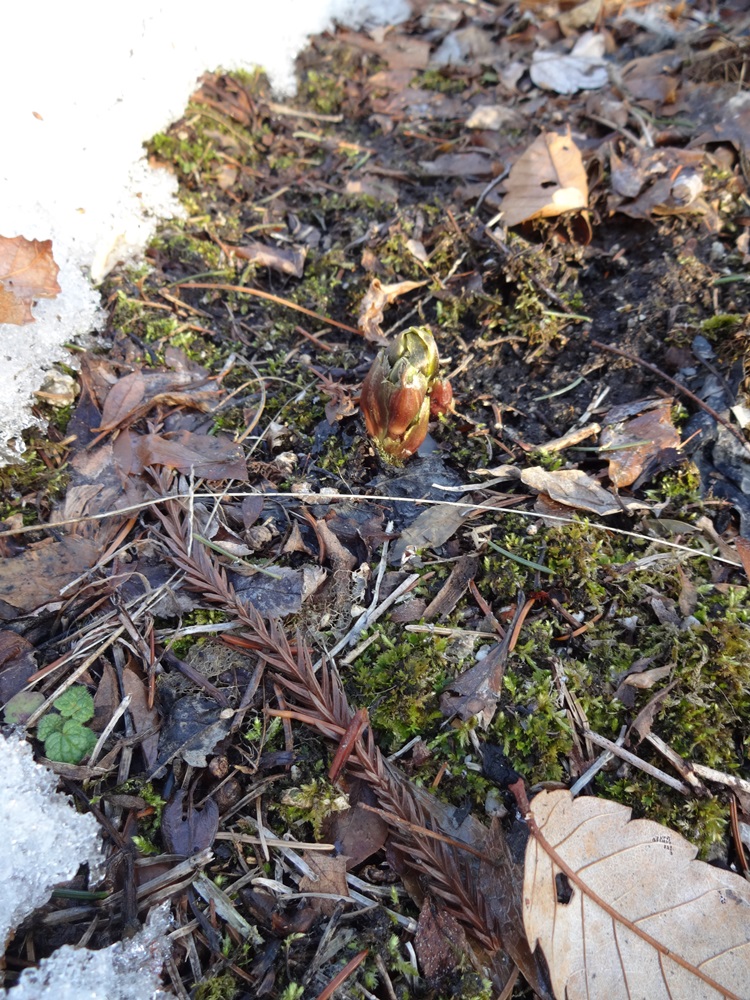 c0111229_1739497.jpg