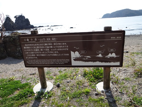 d0037233_14493451.jpg