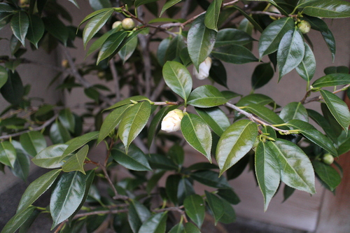 d0033734_23153671.jpg