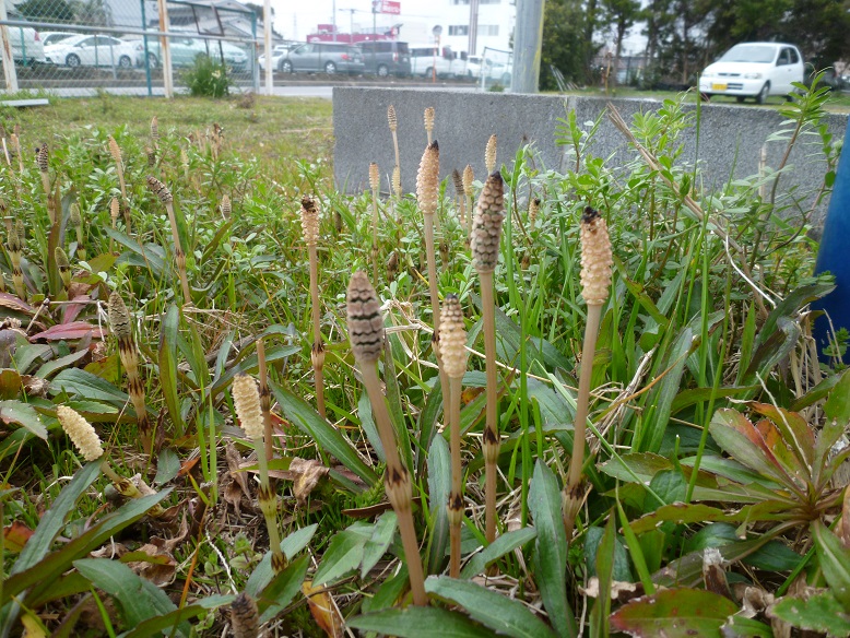 a0310035_22212983.jpg