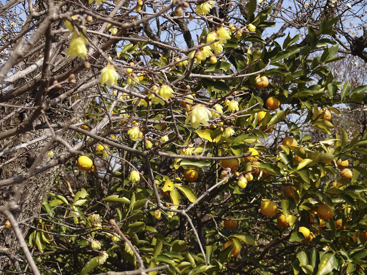 b0042837_455276.jpg