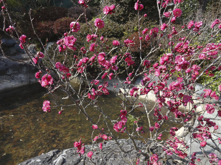 b0042837_4561348.jpg
