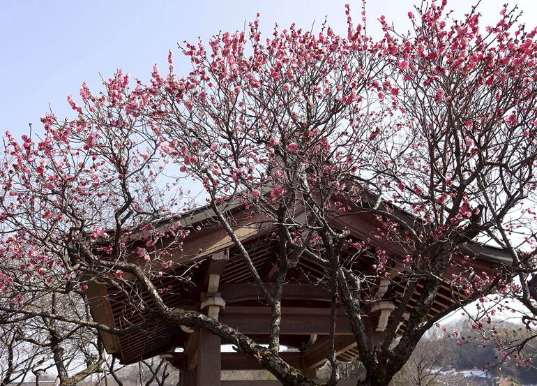 b0042837_4584397.jpg