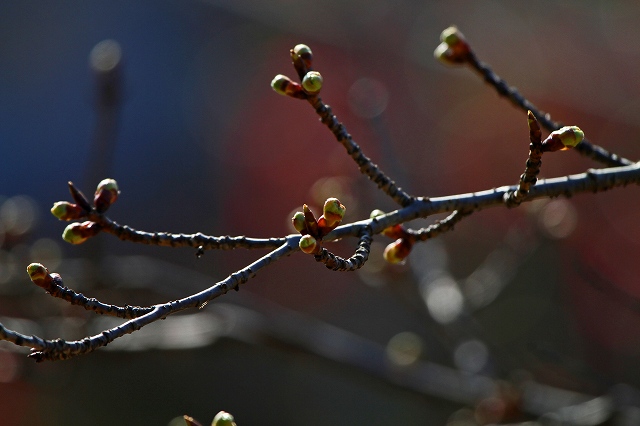 a0242438_19233140.jpg
