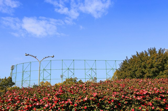 a0242438_19255059.jpg