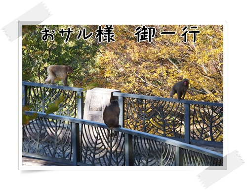 d0013149_0192198.jpg