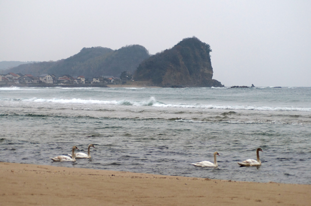 f0214649_14201939.jpg