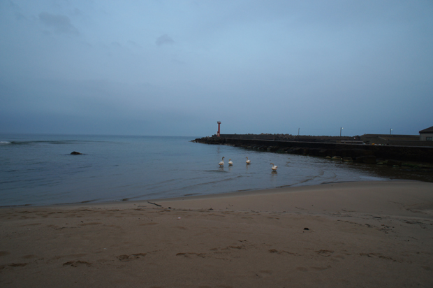 f0214649_414573.jpg