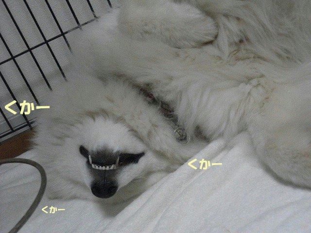 e0176159_15134642.jpg