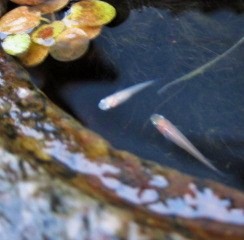 b0225561_1801036.jpg