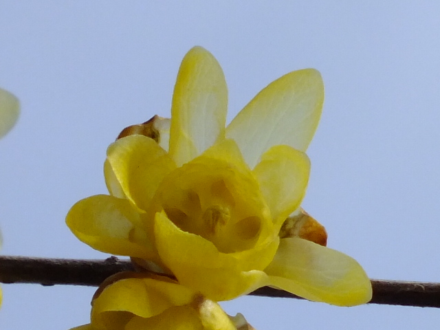 e0145782_10223758.jpg