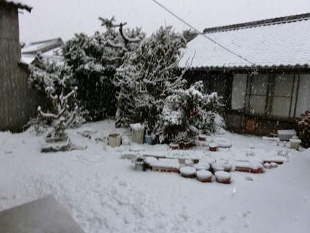 c0167785_2215204.jpg