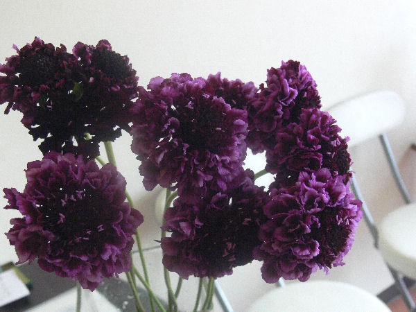 e0140986_17574043.jpg