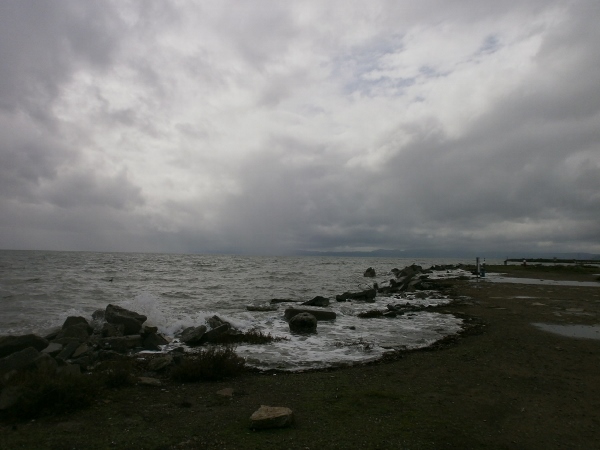 d0000995_16362553.jpg