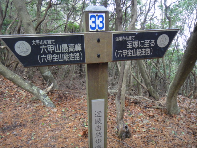 b0108100_10543474.jpg