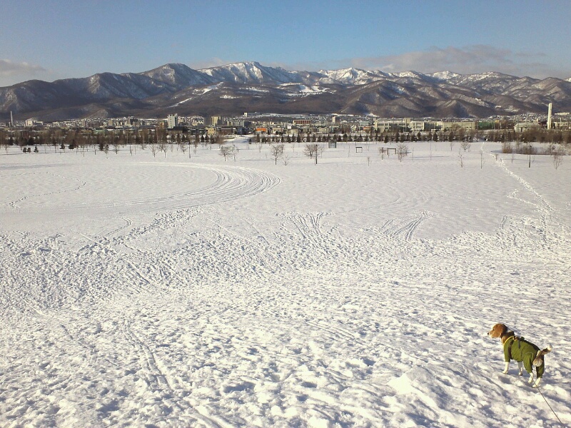 d0256800_9343451.jpg